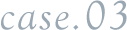 case.03